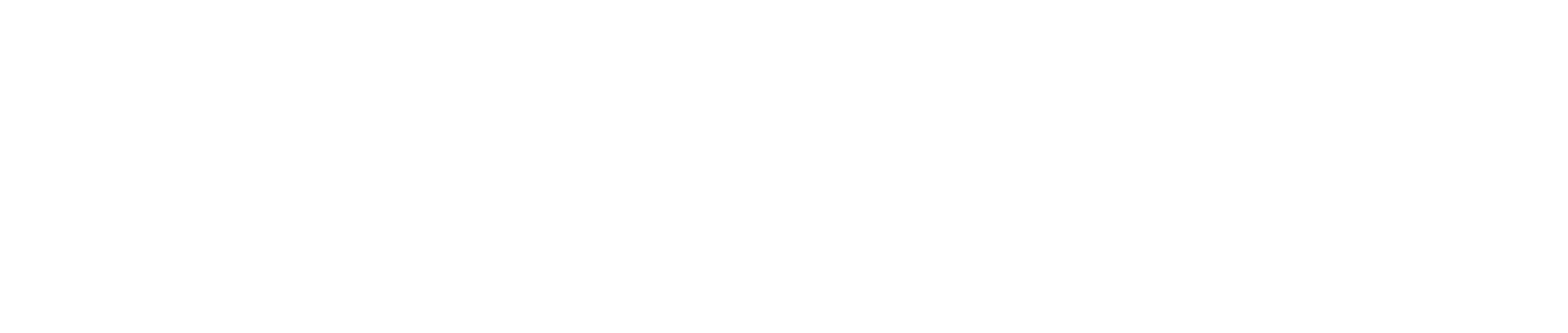 Vaynero light@3x